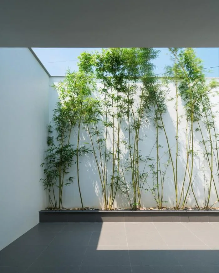 BIM Architecture | Vietnam's Forest Residential / Nguyen Khac Phuoc Architects