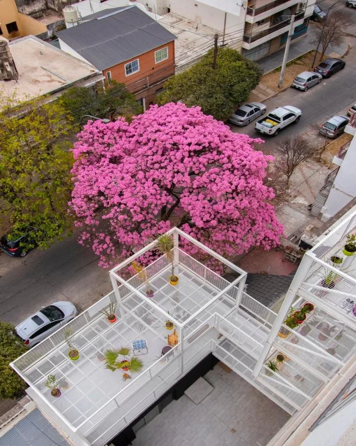 BIM Architecture | Catamarca Apartments, Adorning Spaces with Poetry and Art/Carlos Alejandro Ciravegna
