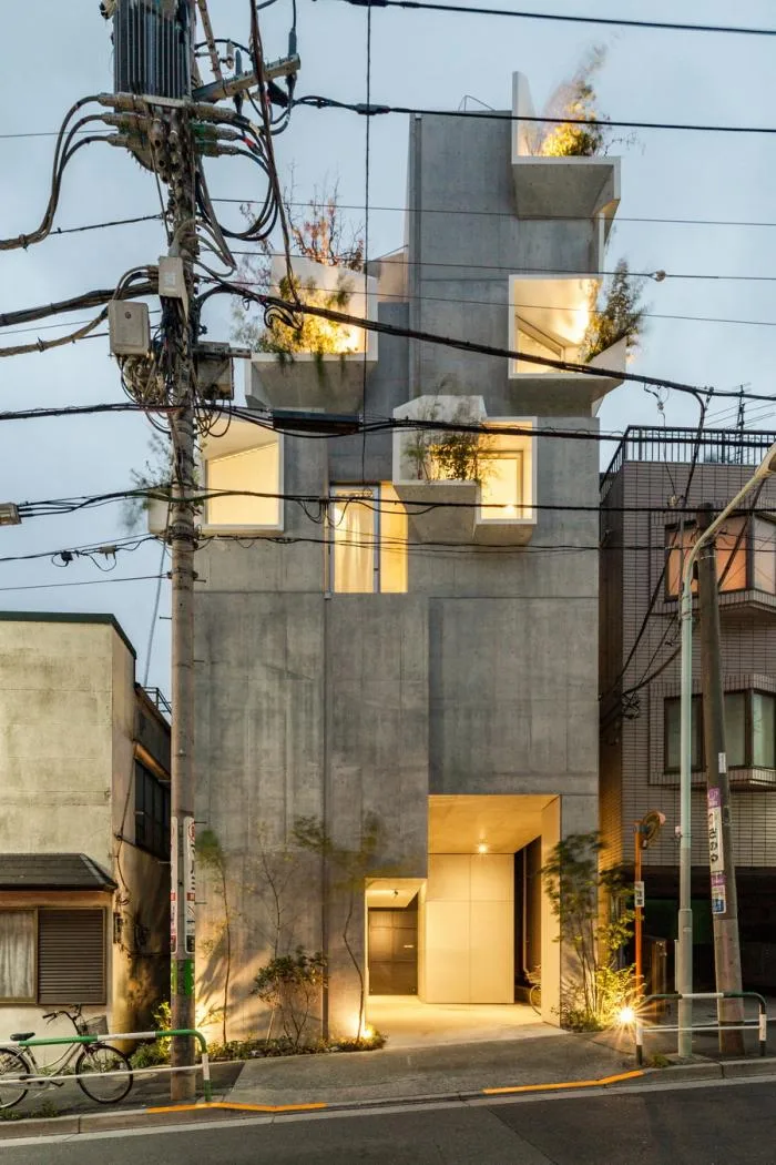 BIM Architecture | Growing and Extending Like Trees: Toyoshima Gallery Residence/Akihisa Hirata Architects, Japan