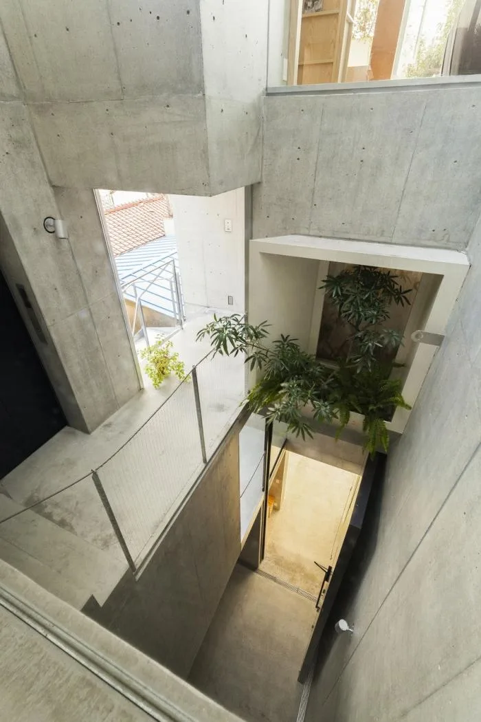 BIM Architecture | Growing and Extending Like Trees: Toyoshima Gallery Residence/Akihisa Hirata Architects, Japan