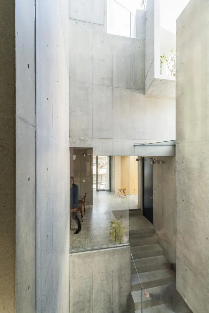 BIM Architecture | Growing and Extending Like Trees: Toyoshima Gallery Residence/Akihisa Hirata Architects, Japan