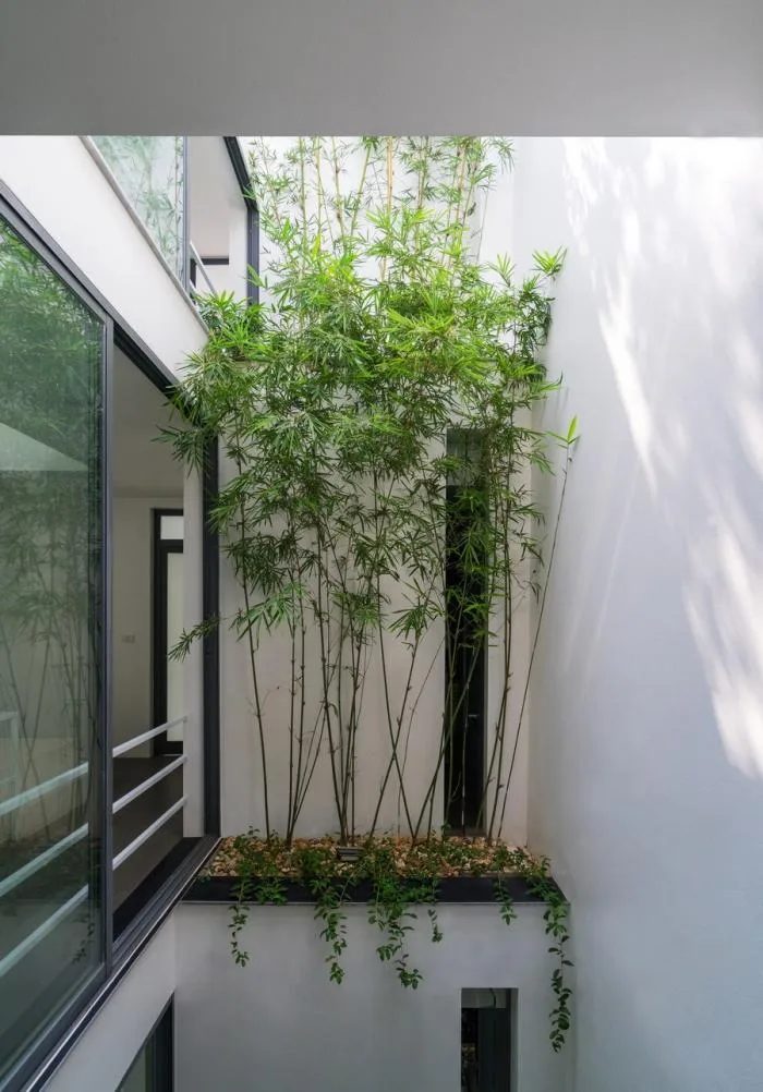 BIM Architecture | Vietnam's Forest Residential / Nguyen Khac Phuoc Architects