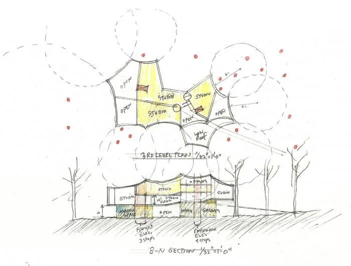 BIM Architecture | Lightly Flying, Born Around Ancient Trees, Went Visual Arts Building/Steven Hall Architects