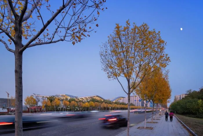 BIM Architecture | Beijing Institute of Technology Liangxiang Campus Cultural and Sports Center/Contemporary Architecture