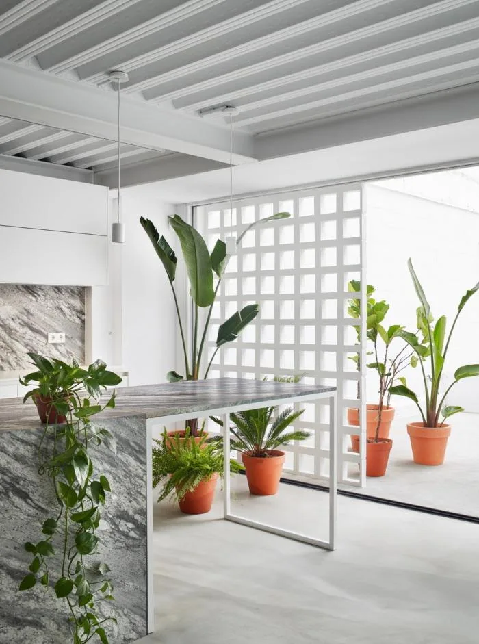 BIM Architecture | Barcelona Residential Renovation, Vertical Connection/Estudi08014