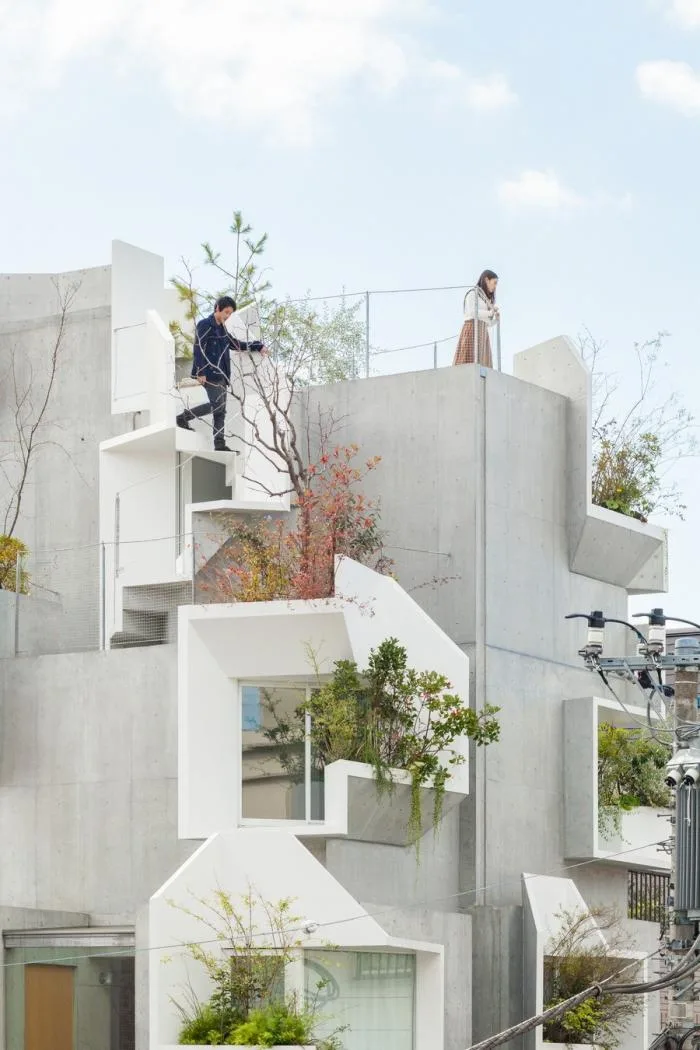BIM Architecture | Growing and Extending Like Trees: Toyoshima Gallery Residence/Akihisa Hirata Architects, Japan