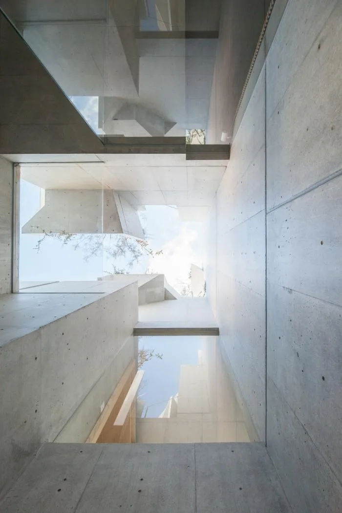 BIM Architecture | Growing and Extending Like Trees: Toyoshima Gallery Residence/Akihisa Hirata Architects, Japan