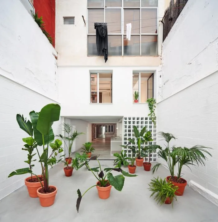 BIM Architecture | Barcelona Residential Renovation, Vertical Connection/Estudi08014