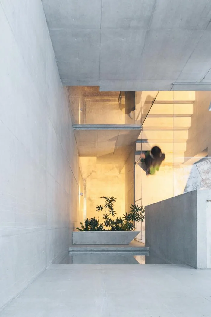BIM Architecture | Growing and Extending Like Trees: Toyoshima Gallery Residence/Akihisa Hirata Architects, Japan