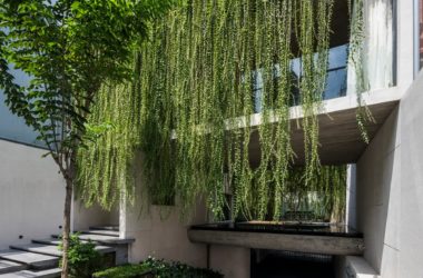 BIM Architecture: Tan Dinh Residence in Vietnam – Embracing Simple Living on a 
