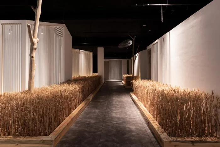 BIM Architecture | Huanmeng Southeast Asia Design Center Office Space/Long Sky Creation