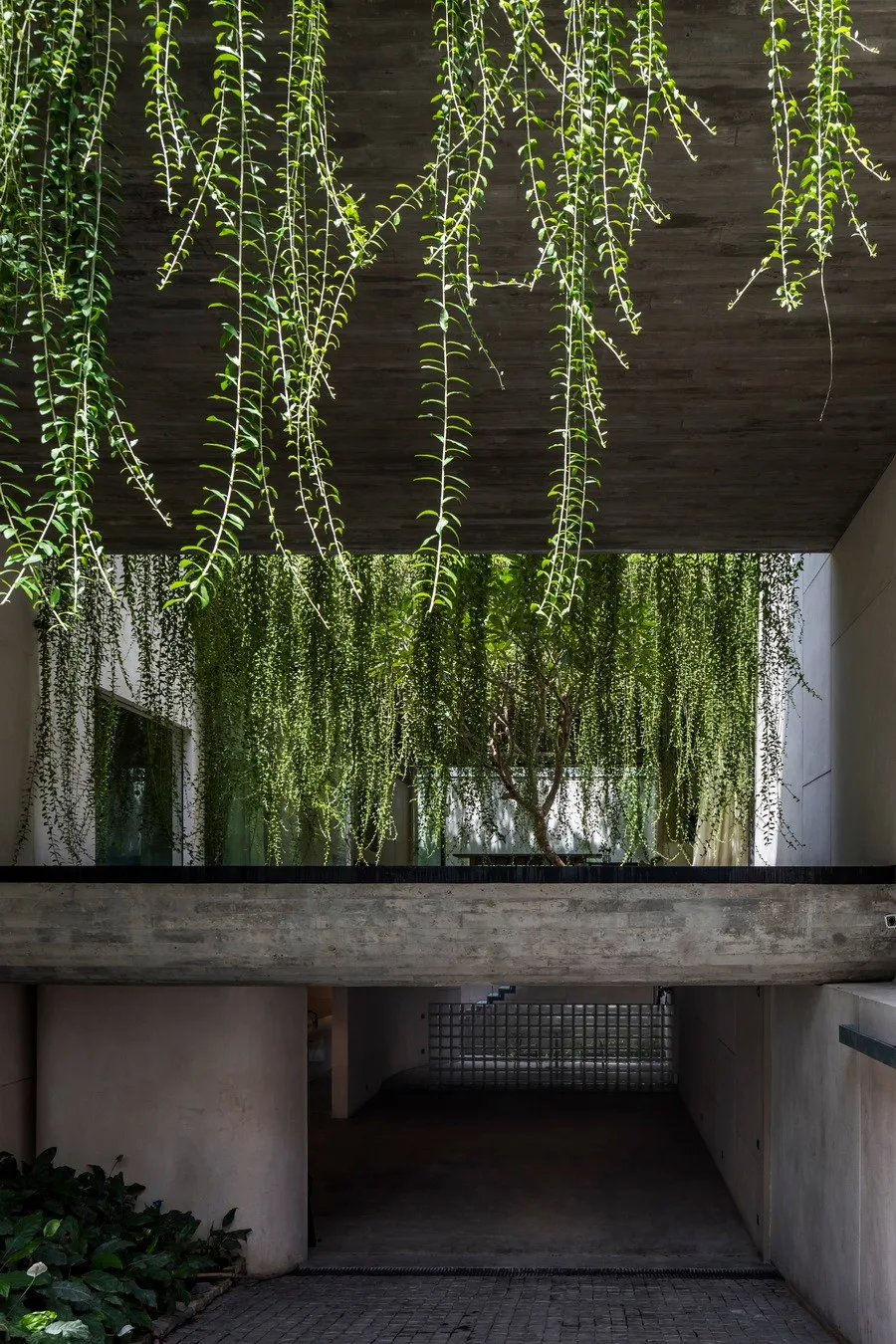 BIM Architecture | Tan Dinh Residence in Vietnam, simply living on the "bridge"/MIA Design Studio