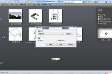 BIM Q&A | Unable to Create New Revit 2015 Project with Only One Structural Template and Incomplete Families-BIM WORLD