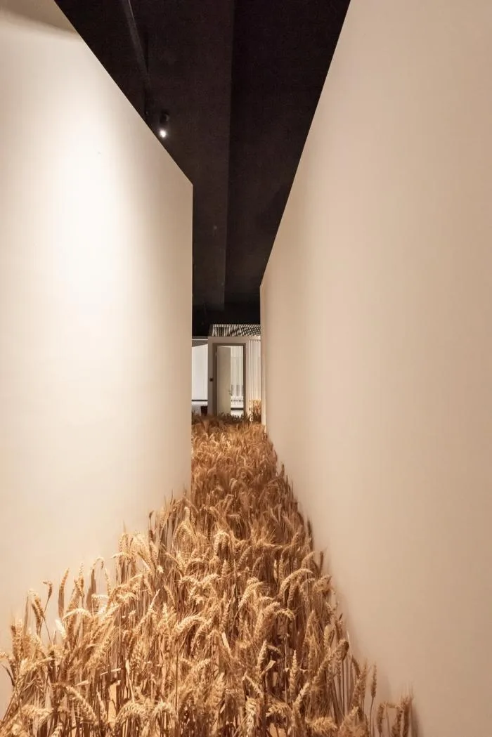 BIM Architecture | Huanmeng Southeast Asia Design Center Office Space/Long Sky Creation
