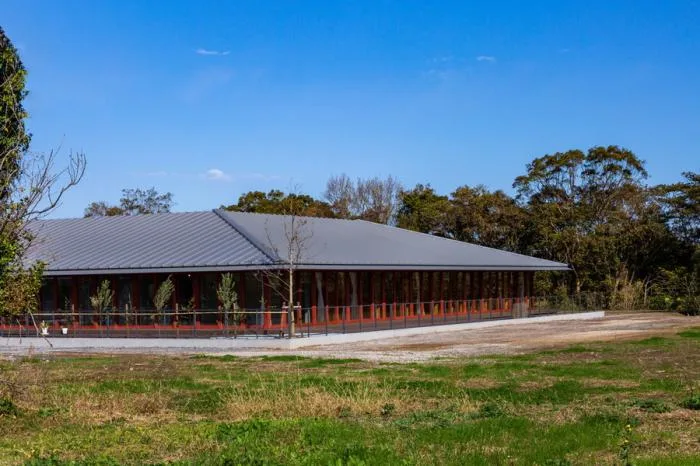 BIM architecture | KNO daycare center, book forest under the eaves/Hibino design+Youji no Shiro