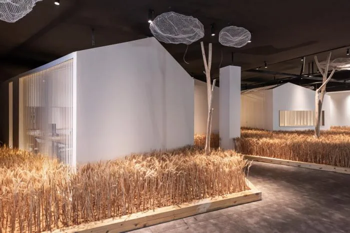 BIM Architecture | Huanmeng Southeast Asia Design Center Office Space/Long Sky Creation