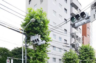 BIM Architecture: Shinjuku Lighthouse House – Defining the Line Between Public and Private by Sumiya/YSLA Architects-BIM WORLD