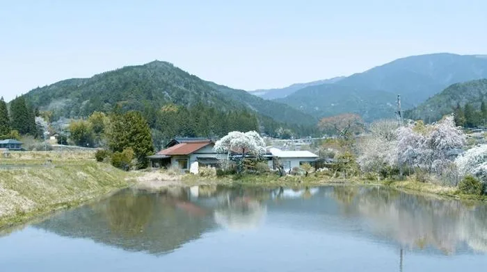 BIM Architecture | Capturing the Beauty of a 175 Year Old House in Japan