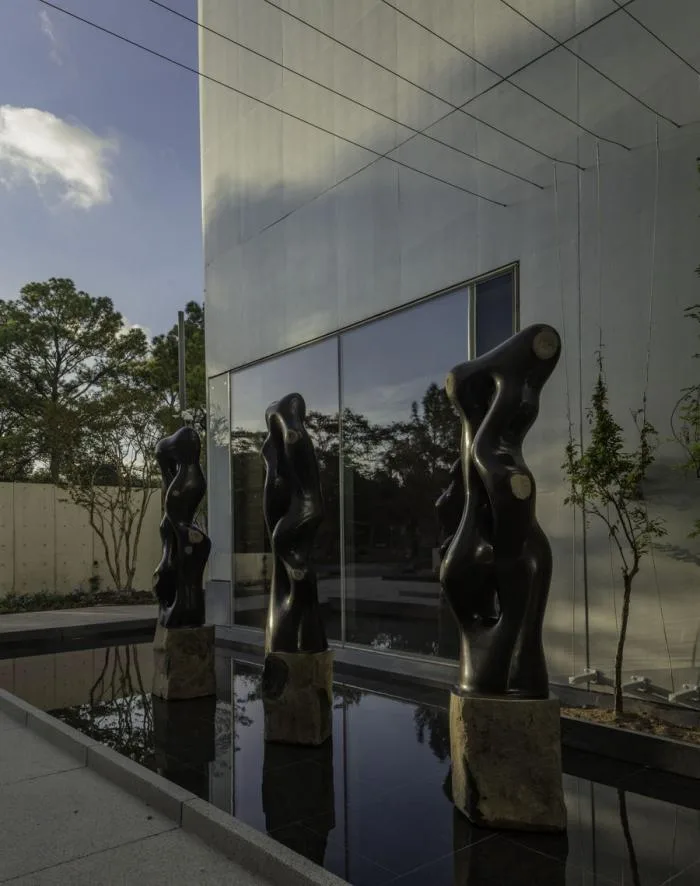 BIM Architecture | Houston Museum of Art New Wing/Steven Hall Architects