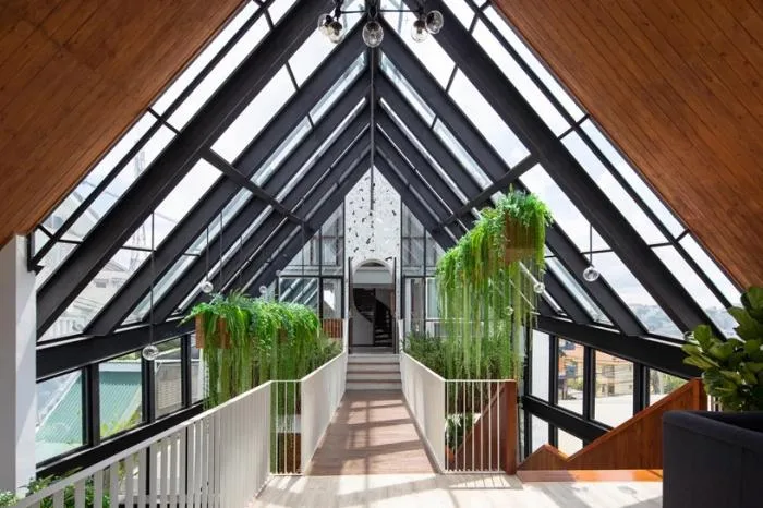 BIM Architecture | Starry Stars, Giant Lanterns at Night/Le House