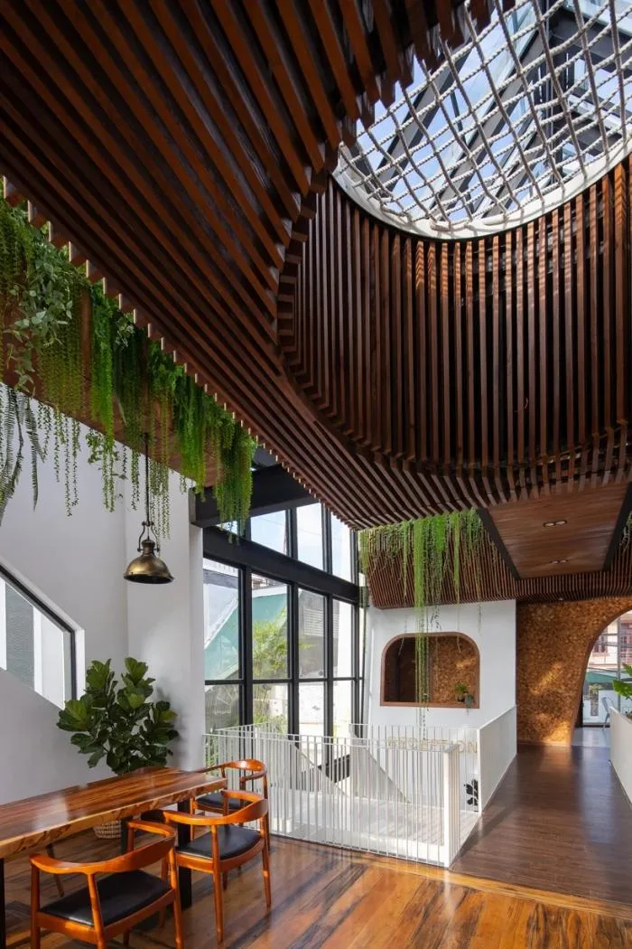 BIM Architecture | Starry Stars, Giant Lanterns at Night/Le House