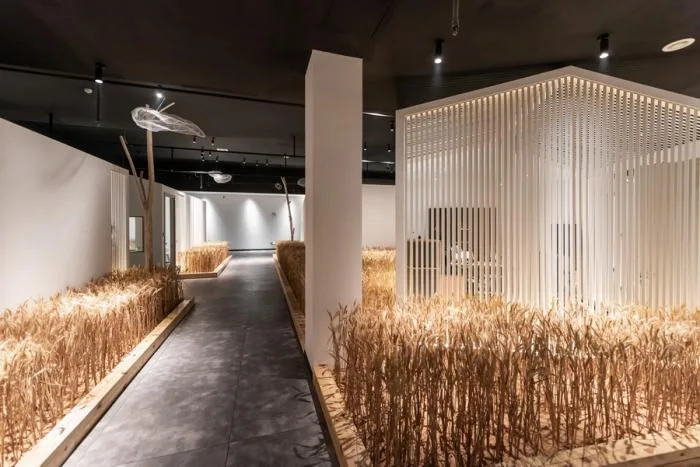 BIM Architecture | Huanmeng Southeast Asia Design Center Office Space/Long Sky Creation