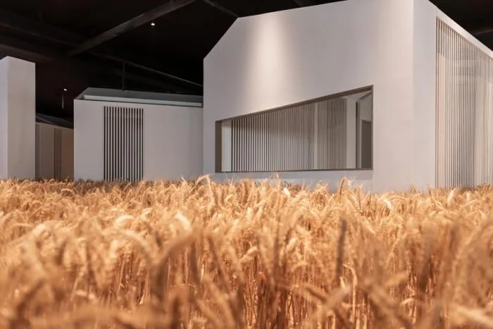 BIM Architecture | Huanmeng Southeast Asia Design Center Office Space/Long Sky Creation