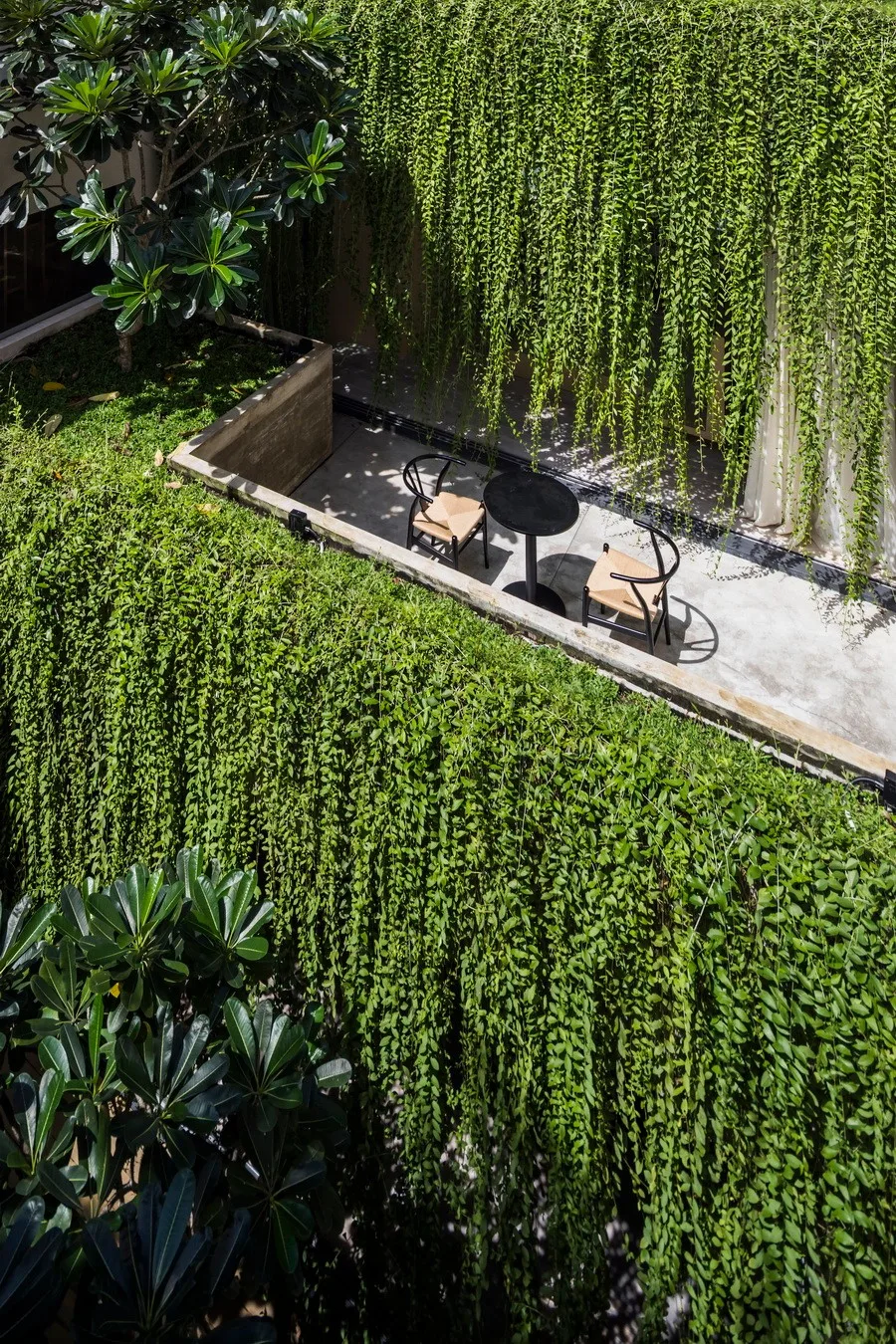 BIM Architecture | Tan Dinh Residence in Vietnam, simply living on the "bridge"/MIA Design Studio