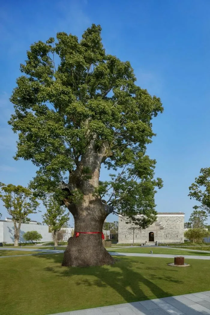 BIM architecture | The desired life, the magic city has such a poetic countryside!