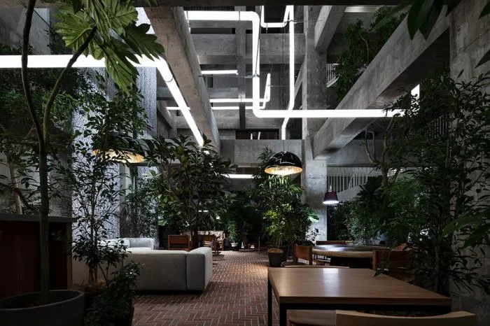 BIM Architecture | White Well House Hotel/Fujimoto Shosuke Architecture Firm