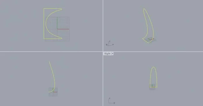 BIM Q&A | How should Rhino be covered?