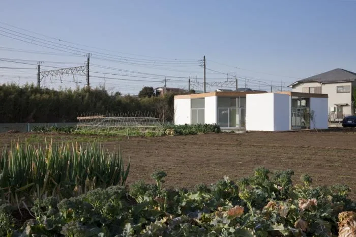 BIM Architecture | Japanese 'L' Wall Residential/Miyako Architecture Studio