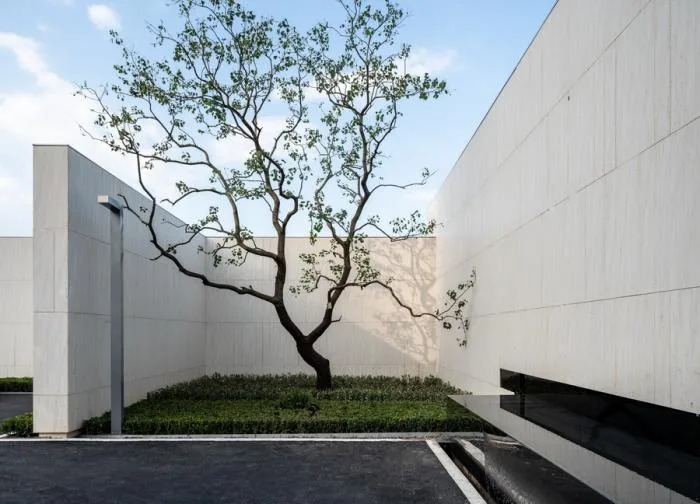 BIM Architecture | Three courtyard under ten large camphor trees: Future City Exhibition Hall/Meng Fanhao - ad · line+studio