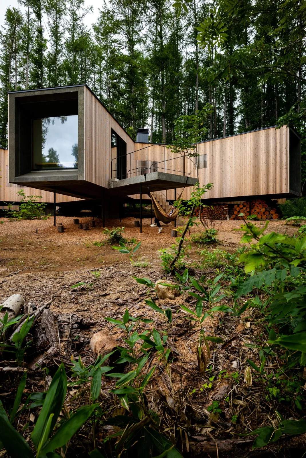 BIM Architecture | Hokkaido Forest Lodge, Extended 'Tendons'/Florian Busch Architects