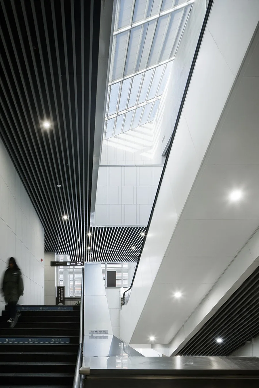 BIM Architecture | Jiashan Museum, Library/Zhejiang University Architectural Design and Research Institute