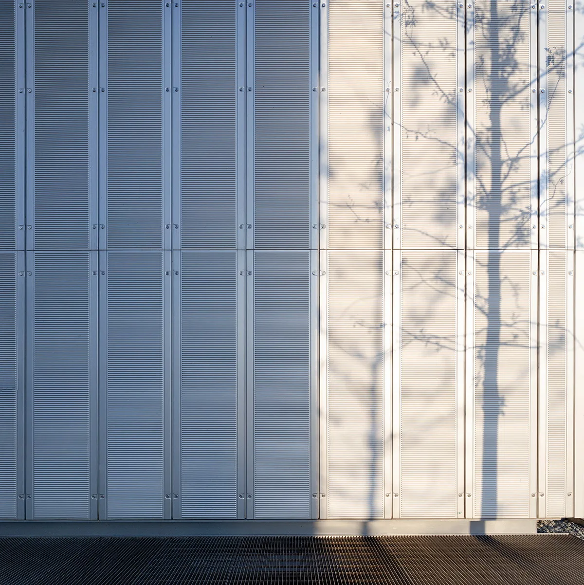 BIM Architecture | Tianmuli Comprehensive Art Park/Renzo Piano Architecture Studio