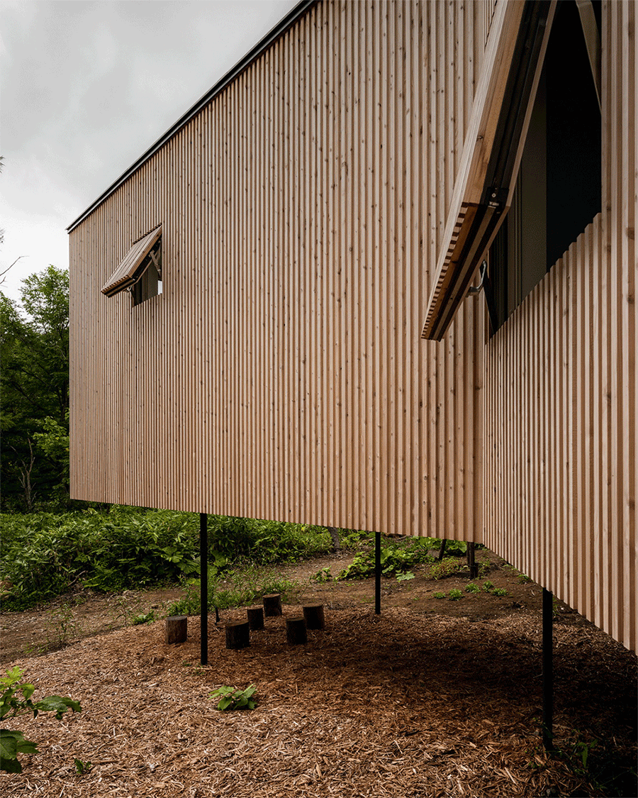BIM Architecture | Hokkaido Forest Lodge, Extended 'Tendons'/Florian Busch Architects
