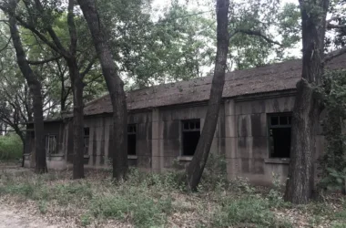 BIM Architecture at Haishi Garden: Bridging Memory and Emotion | Beijing Shanfangzhu Art Design Co., Ltd-BIM WORLD