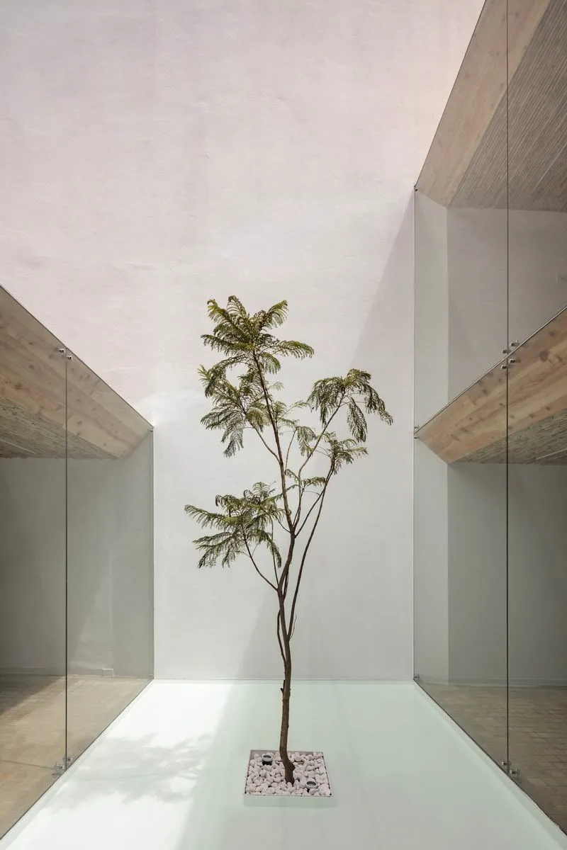 BIM Architecture | Renovation of Old Buildings | Ecuadorian Glass Restaurant