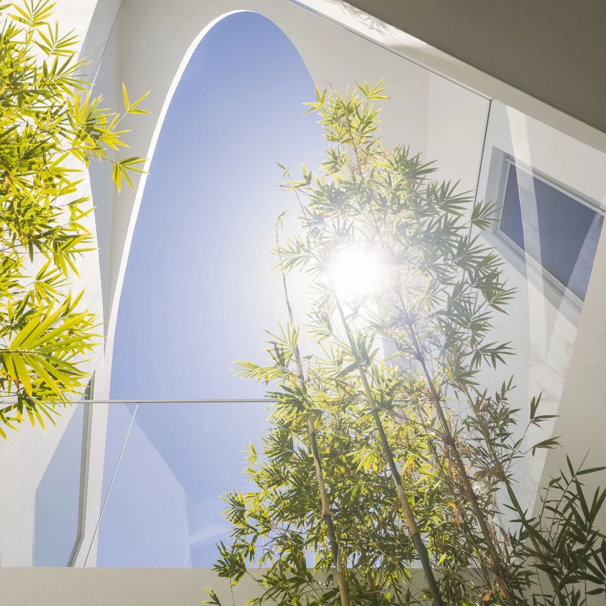 BIM Architecture | Dorfler Residential in Portugal, Bold and Elegant Curves/Vitor Vilhena Arquitectura