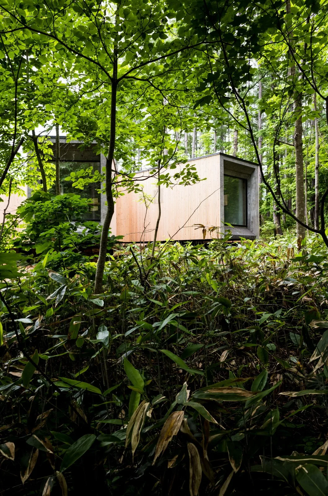 BIM Architecture | Hokkaido Forest Lodge, Extended 'Tendons'/Florian Busch Architects