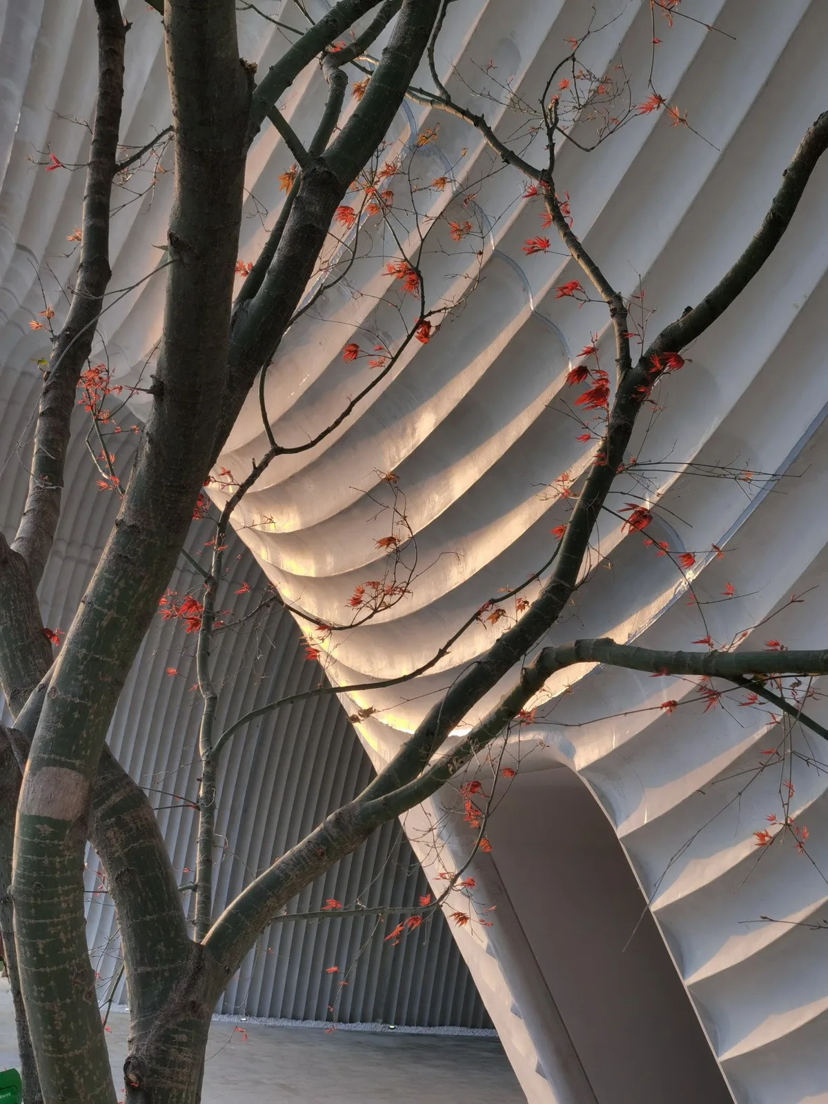 BIM Architecture | Floating Door - Xi'an Fengdong New City Lai'an Community Center/EID Architecture