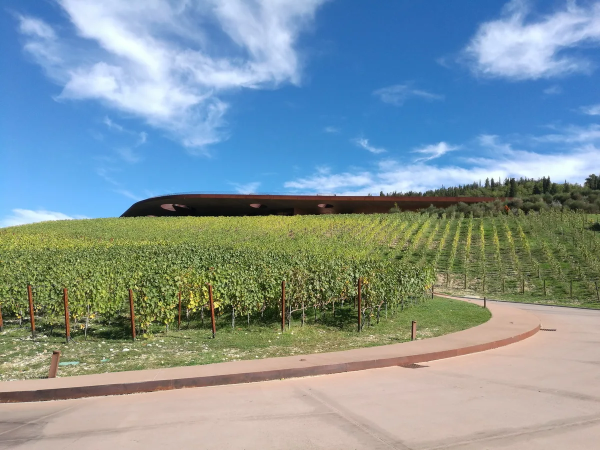 BIM Architecture | 'Winery' Annotation - Beacon Tower Xu/Ordinary Architecture Firm