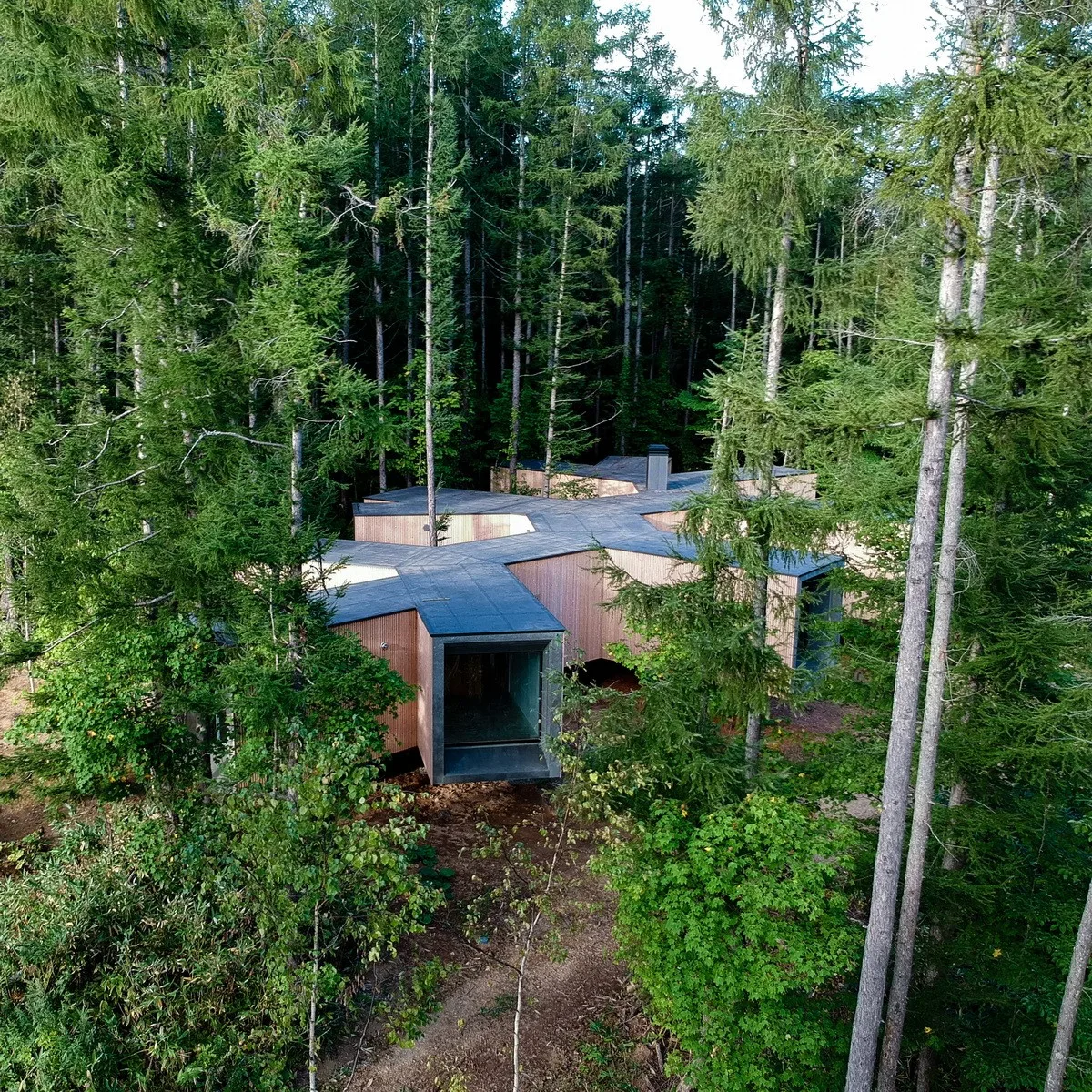 BIM Architecture | Hokkaido Forest Lodge, Extended 'Tendons'/Florian Busch Architects