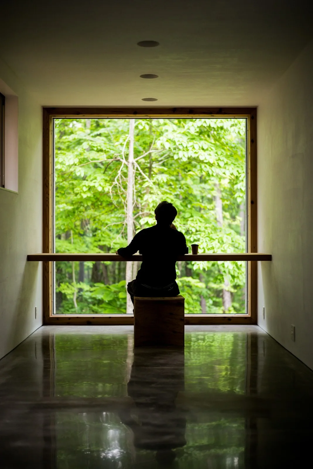 BIM Architecture | Hokkaido Forest Lodge, Extended 'Tendons'/Florian Busch Architects