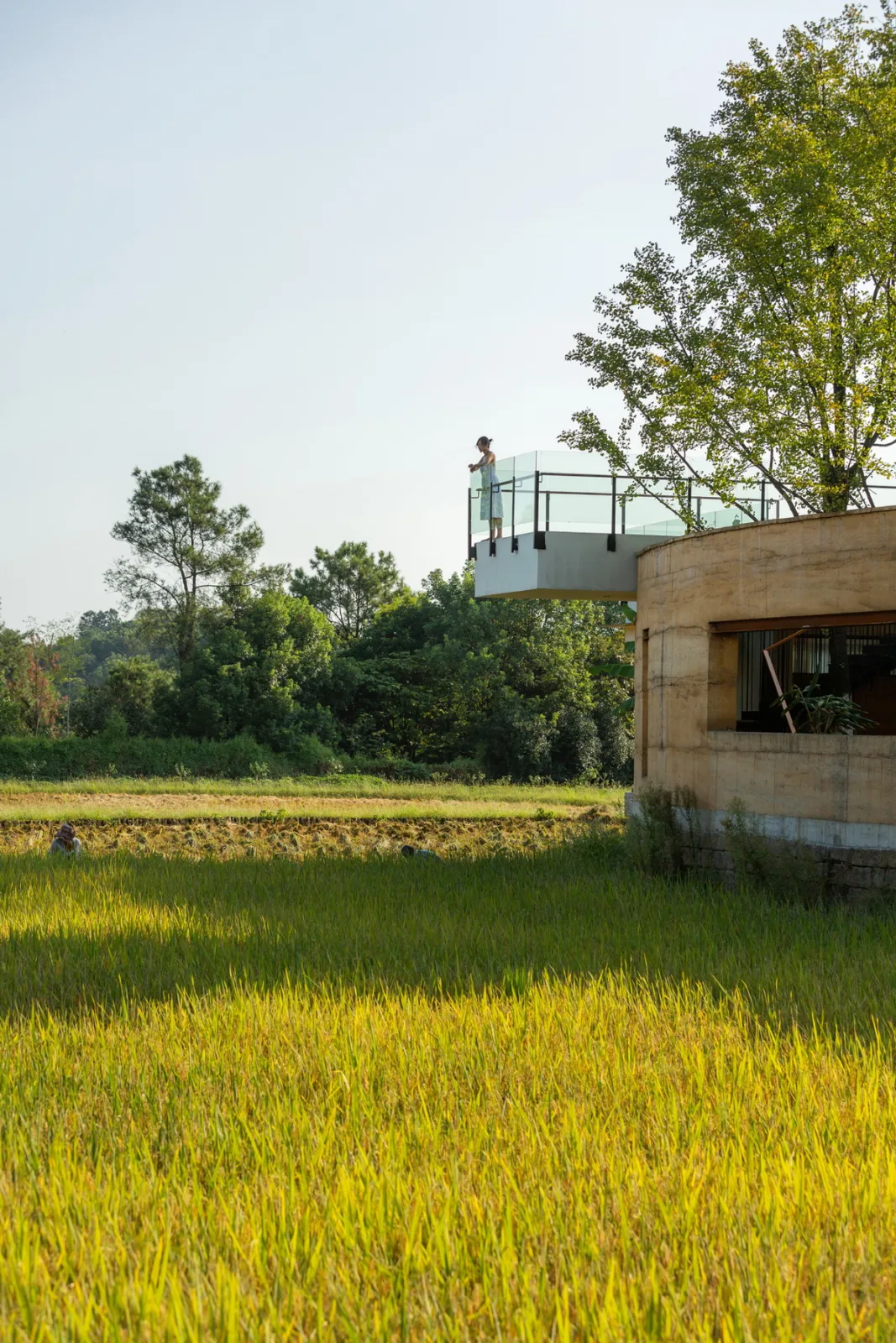 BIM Architecture | Rice Fields, Under Trees, Jiaoyuan/Chongqing Yueji Architectural Design Firm