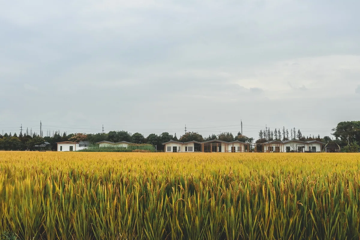 BIM Architecture | Renovation of Agricultural Tool Warehouse in Grain Fields - Huahong Farming and Weaving Hall/Chuanglin Zebai