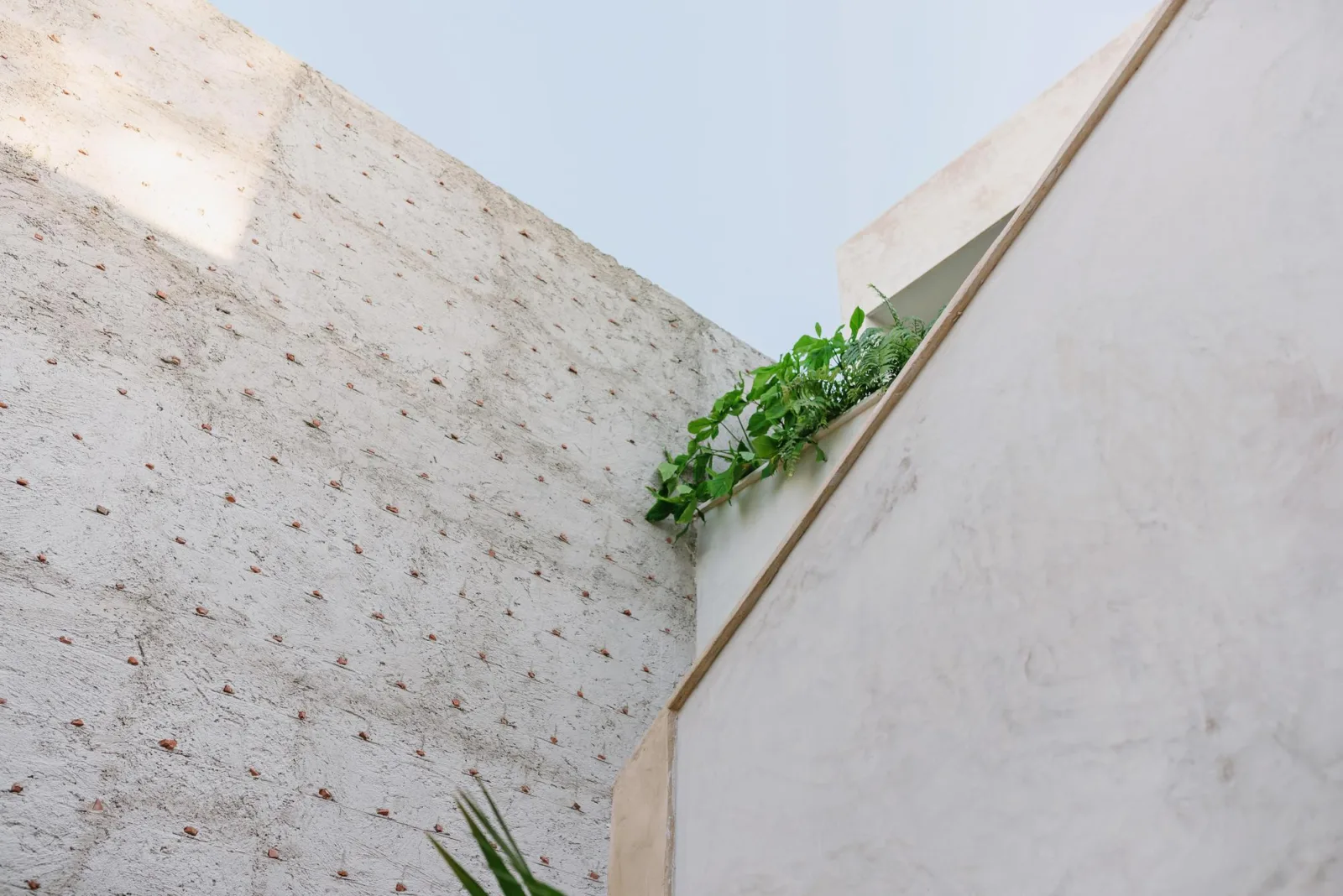 BIM Architecture | This is an "Internet celebrity" building with artistic connotations | Mexican Gateway House