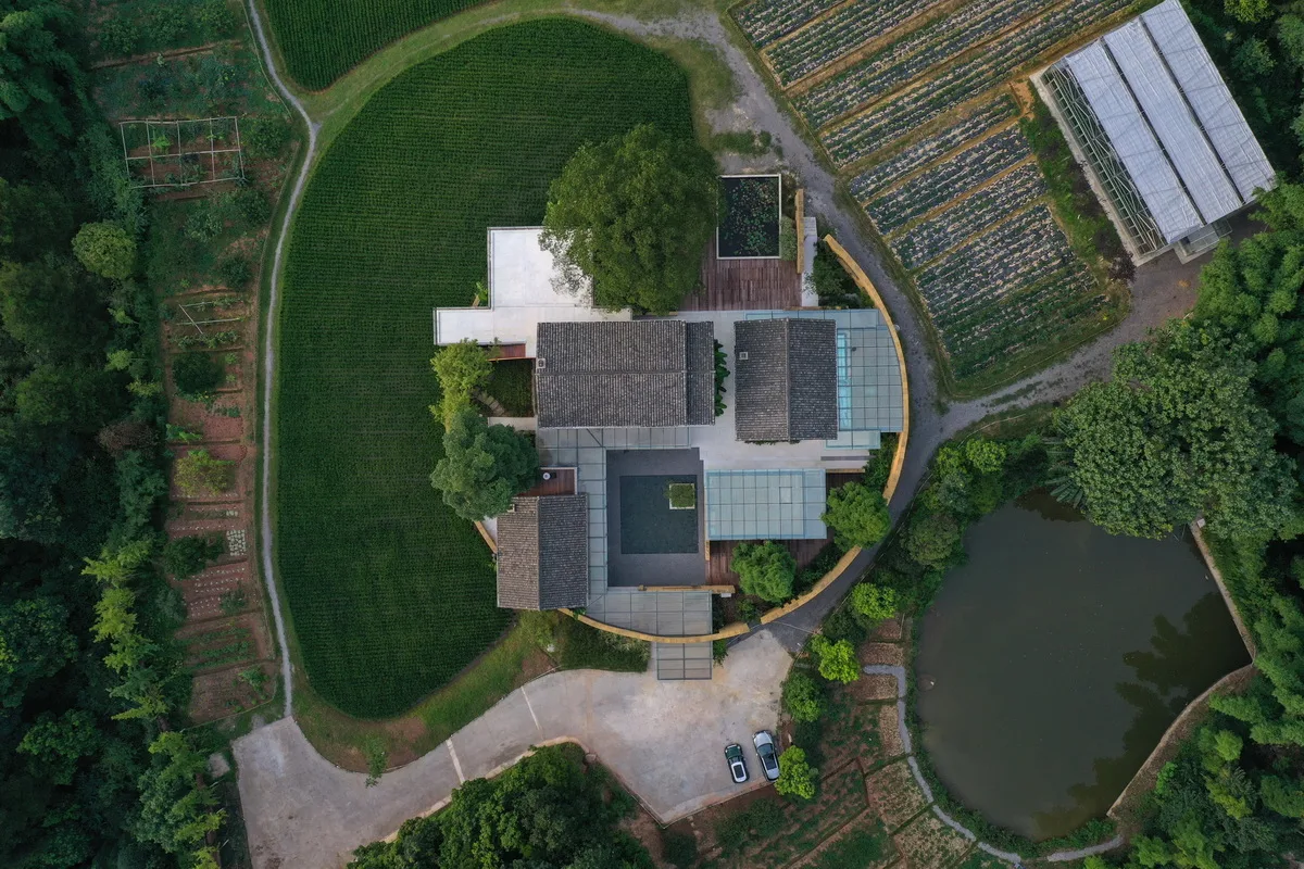 BIM Architecture | Rice Fields, Under Trees, Jiaoyuan/Chongqing Yueji Architectural Design Firm
