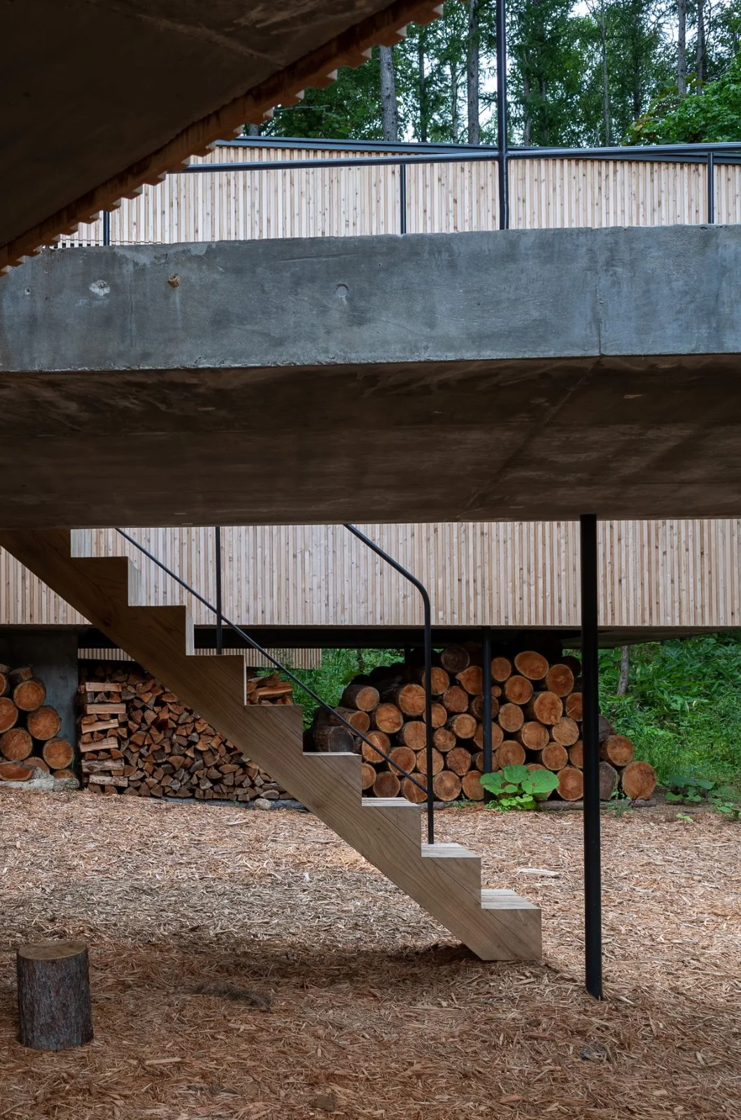 BIM Architecture | Hokkaido Forest Lodge, Extended 'Tendons'/Florian Busch Architects